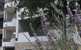 Apartmani Ana